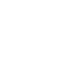 Logo_white